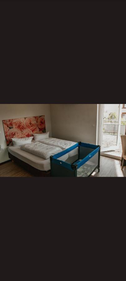 Self Checkin Hotel Heckenrose Lorin Рінґсгайм Екстер'єр фото